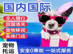 昆明航空货运国际宠物托运 【国